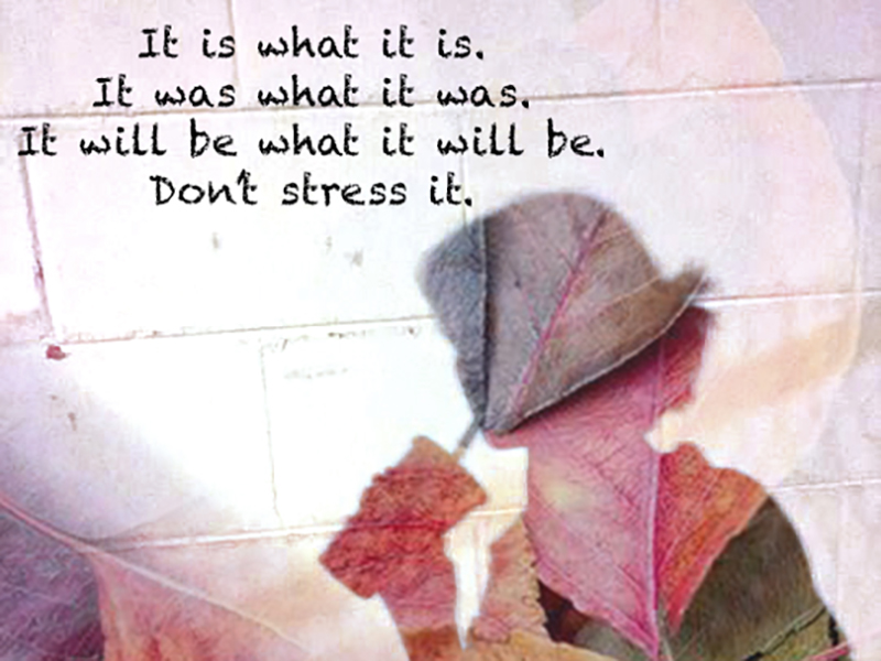Dont Stress it